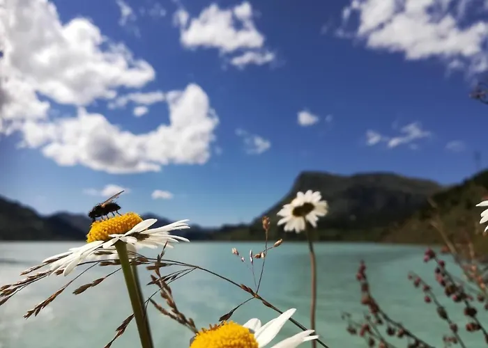 Haus Sabrina Masnerjoch ゼー